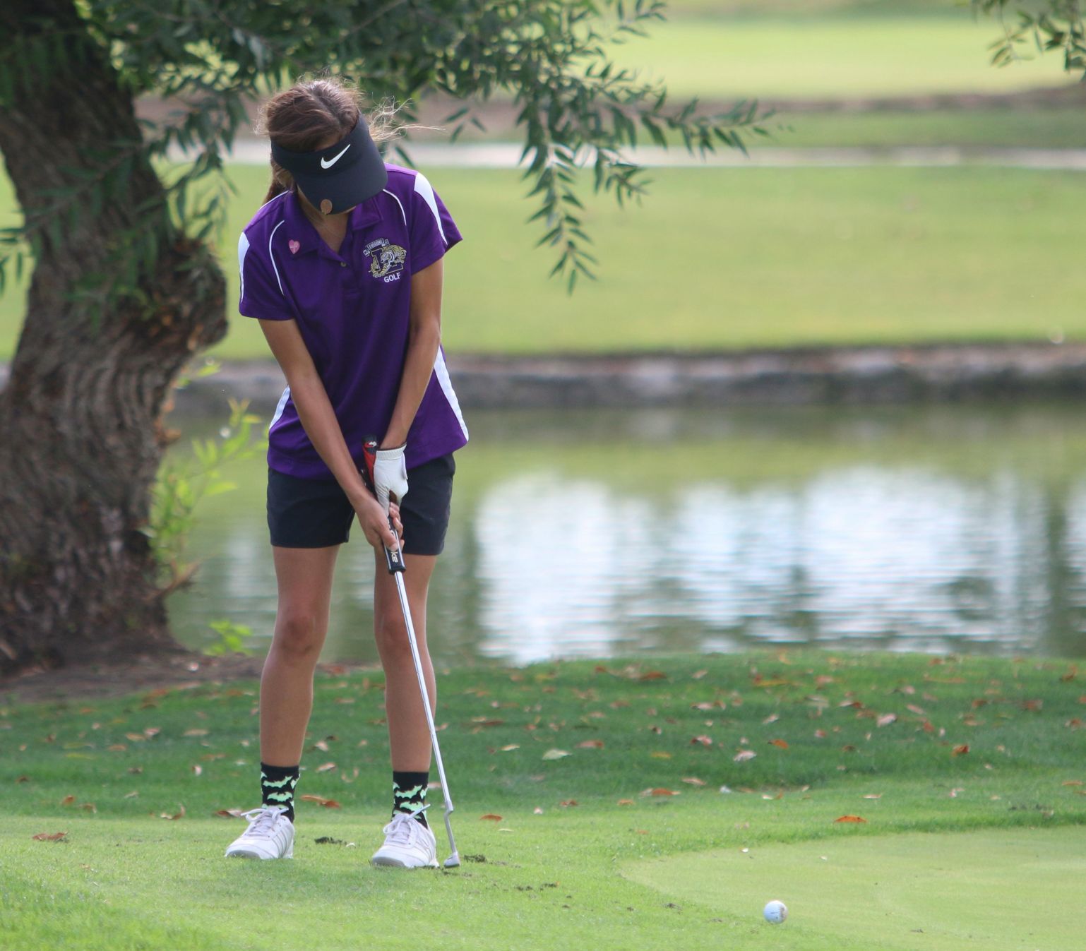 Hanford, Lemoore stay put in WYL